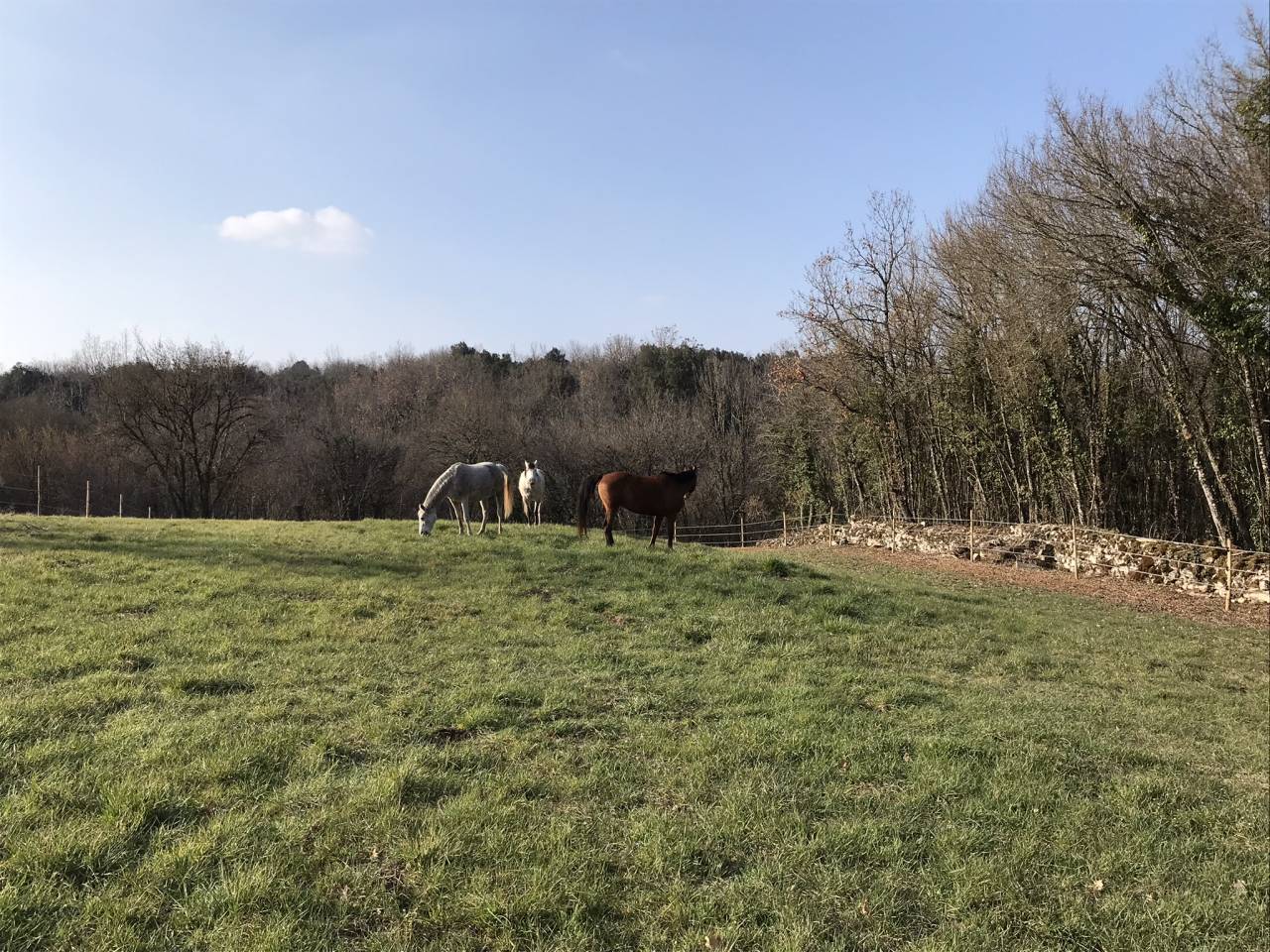 Propiedad ecuestre En venta Charente