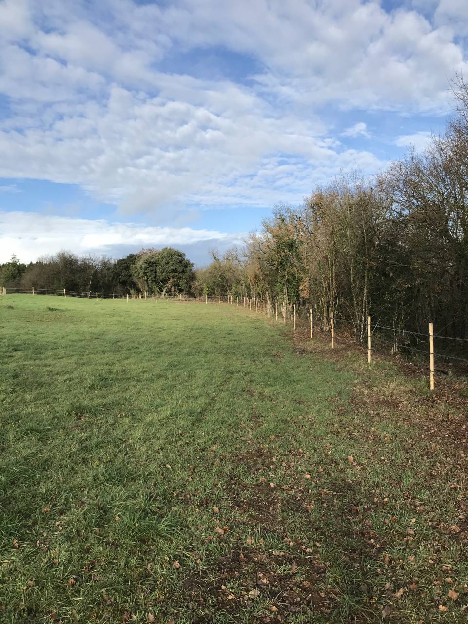 Propiedad ecuestre En venta Charente