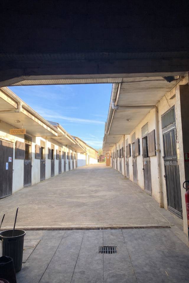 Cuadra de propietarios En venta Meurthe y Mosela