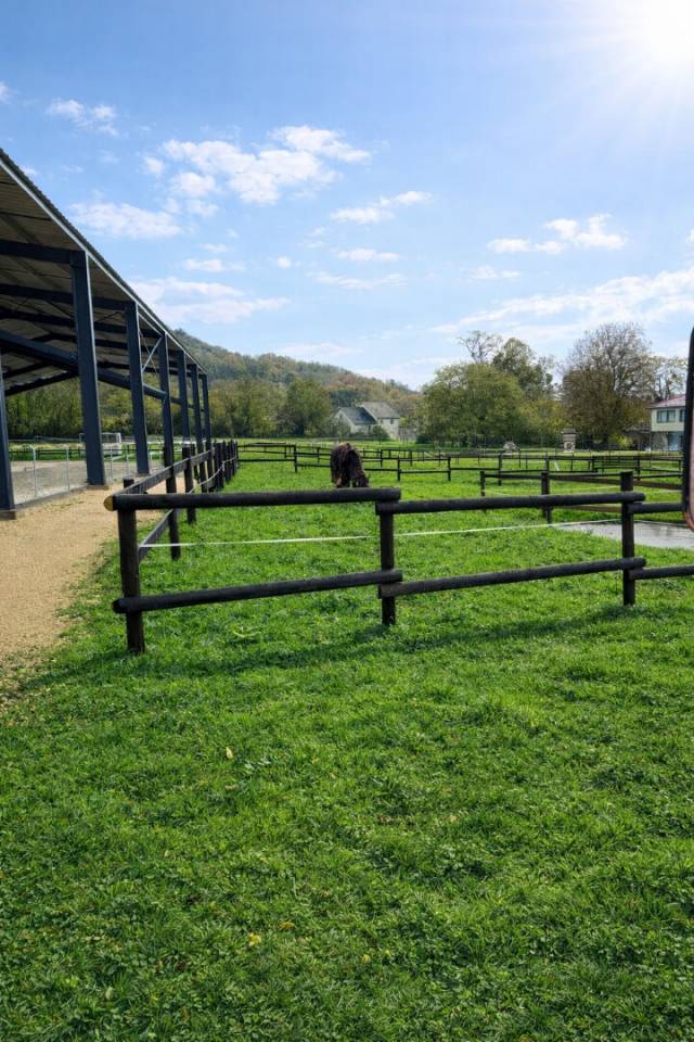 Cuadra de propietarios En venta Meurthe y Mosela