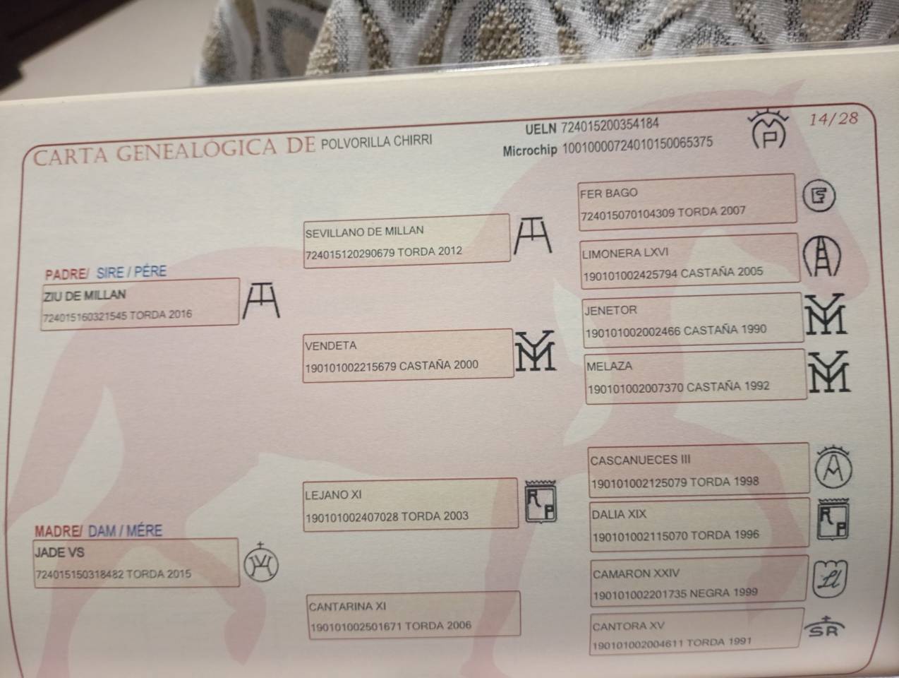 Vendo yegua pre con papeles muy guapa y mansa ve