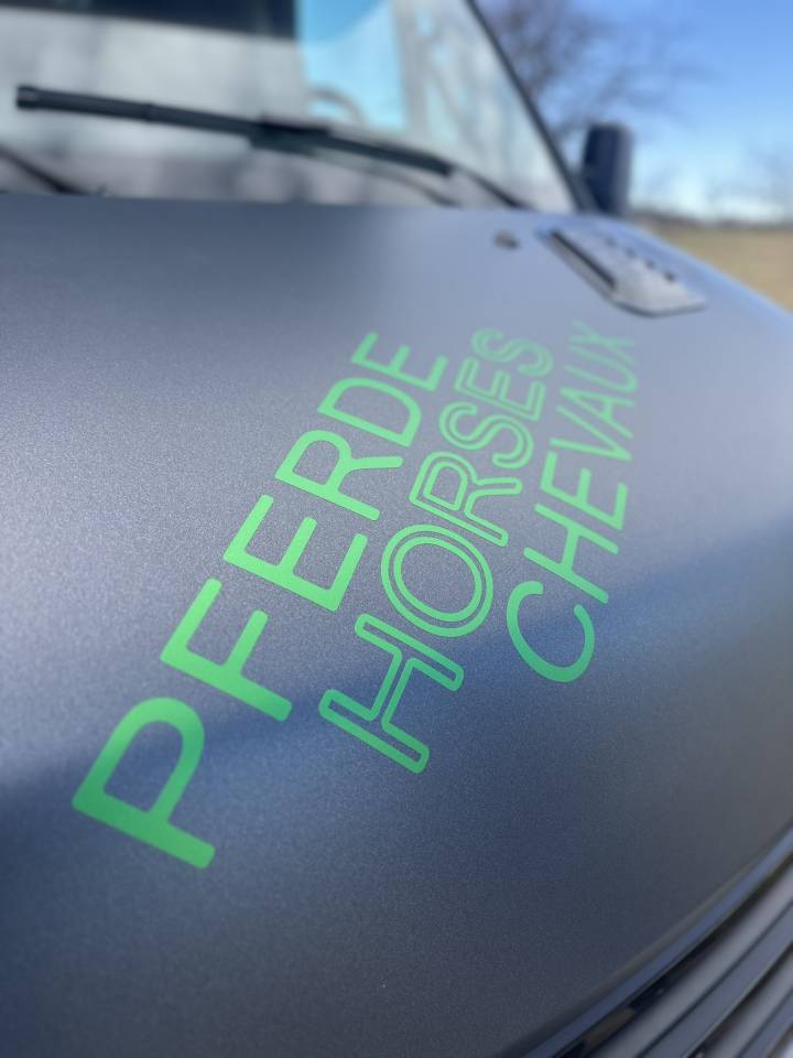 Furgoneta para caballos Iveco IVECO 0 Nuevo