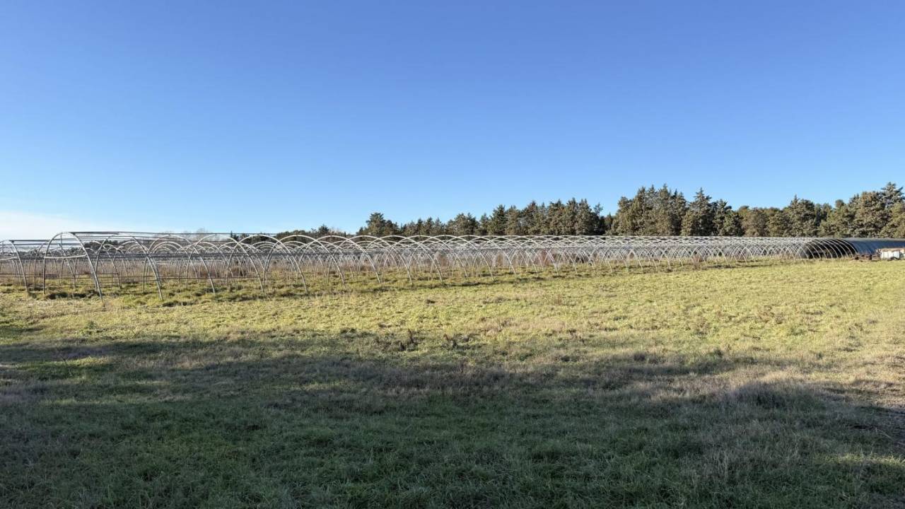 Propiedad ecuestre En venta Bocas del R&oacute;dano