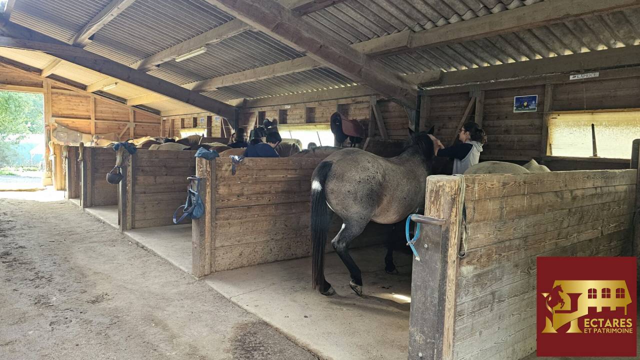 Propiedad ecuestre En venta Saona y Loira