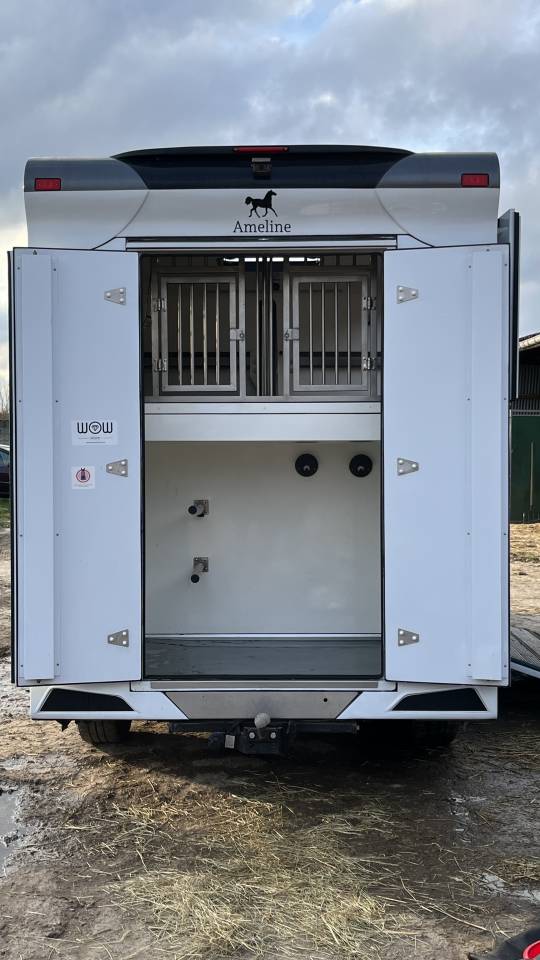 Furgoneta para caballos Ameline Master 3  2021 De segunda mano