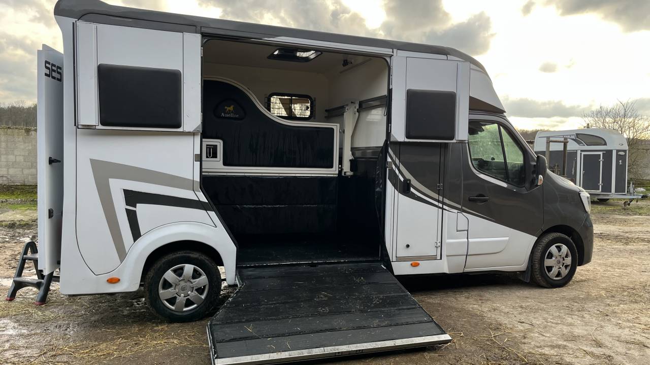 Furgoneta para caballos Ameline Master 3  2021 De segunda mano