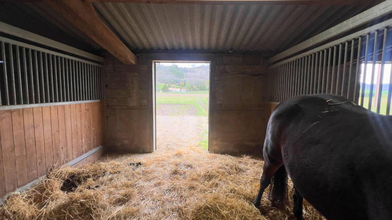 Propiedad ecuestre En venta Tarn y Garona