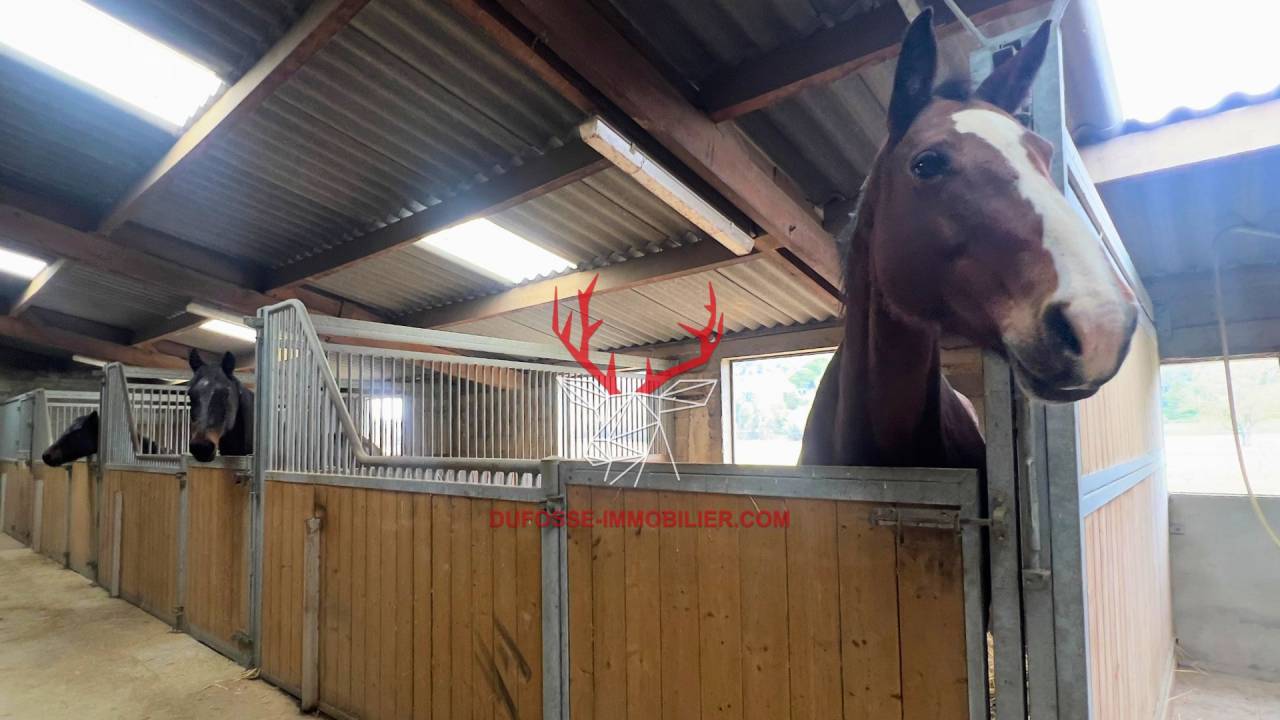 Propiedad ecuestre En venta Tarn y Garona