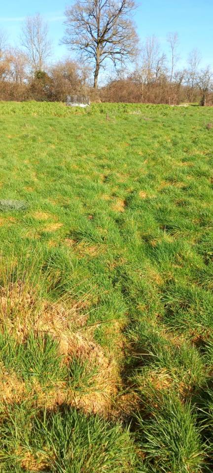 Propiedad ecuestre En venta Deux-S&egrave;vres