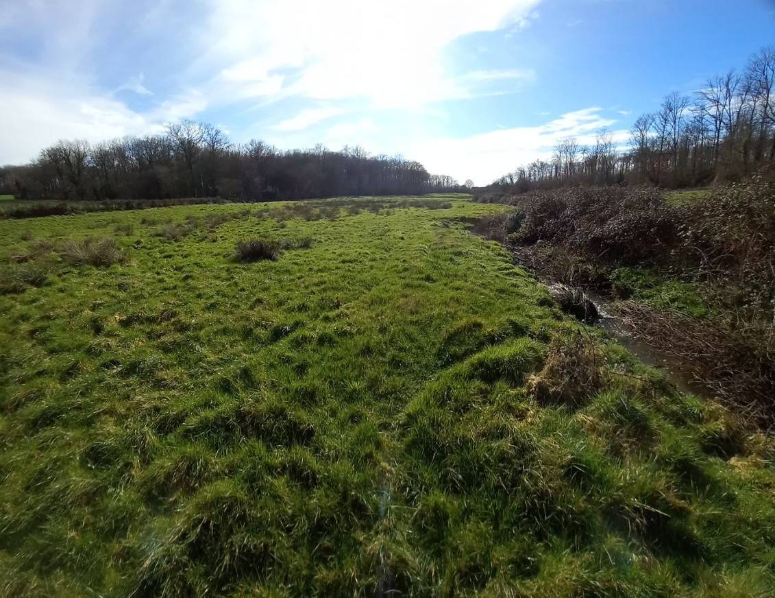 Propiedad ecuestre En venta Deux-S&egrave;vres