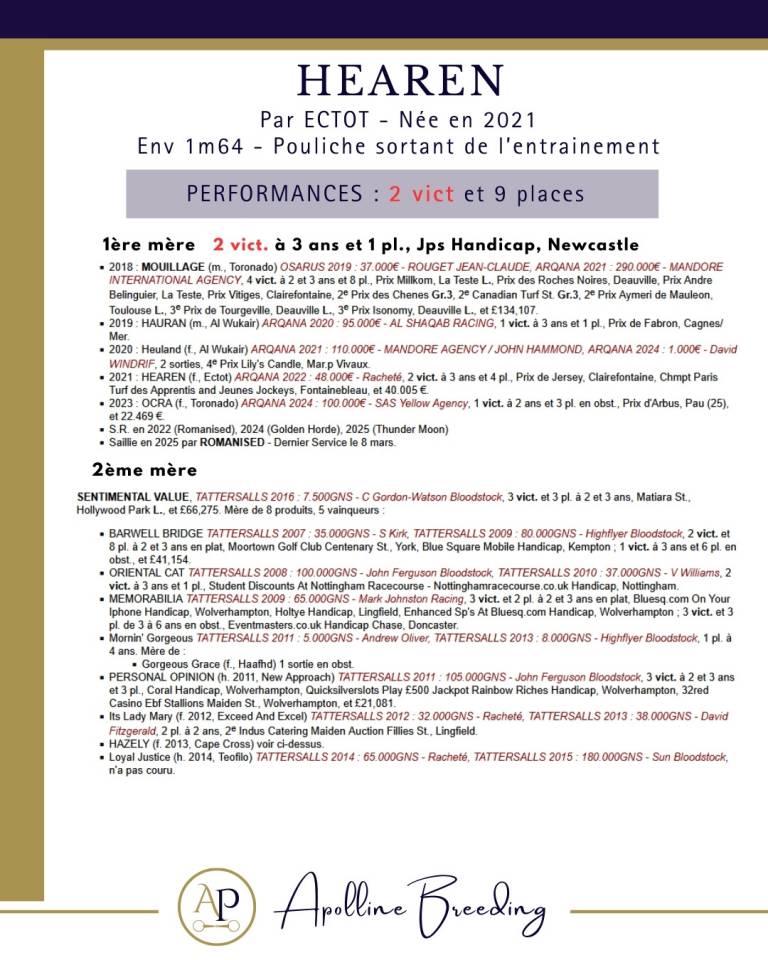 Yegua Pura Sangre En venta 2021 Bayo