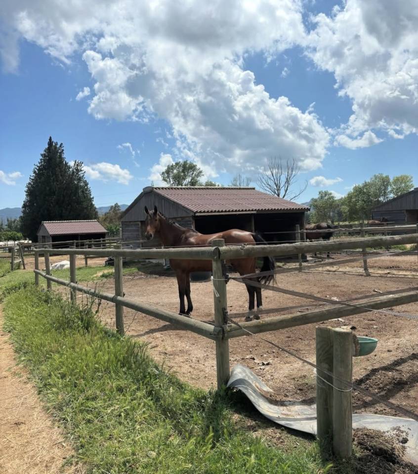 Centro ecuestre En venta Var