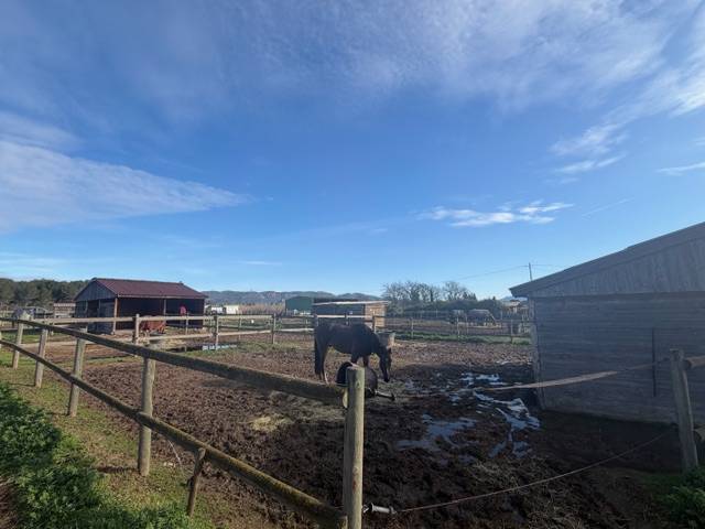 Centro ecuestre En venta Var