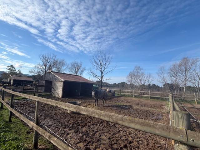 Centro ecuestre En venta Var