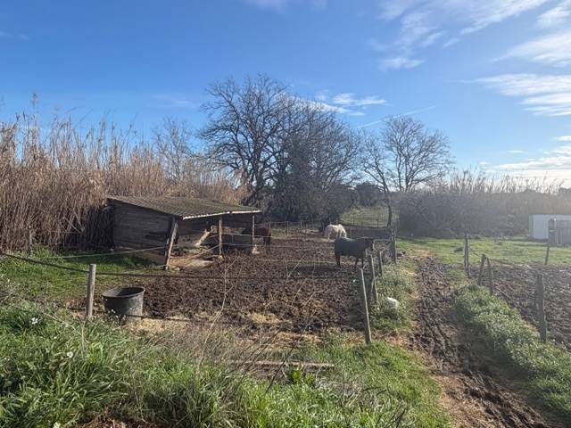 Centro ecuestre En venta Var