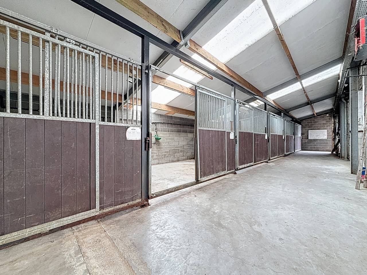 Granja ecuestre En venta Brabant-Val&oacute;n