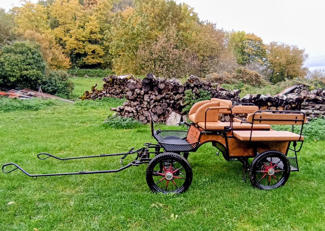 Coche enganches - Calesa - Otra marca -  