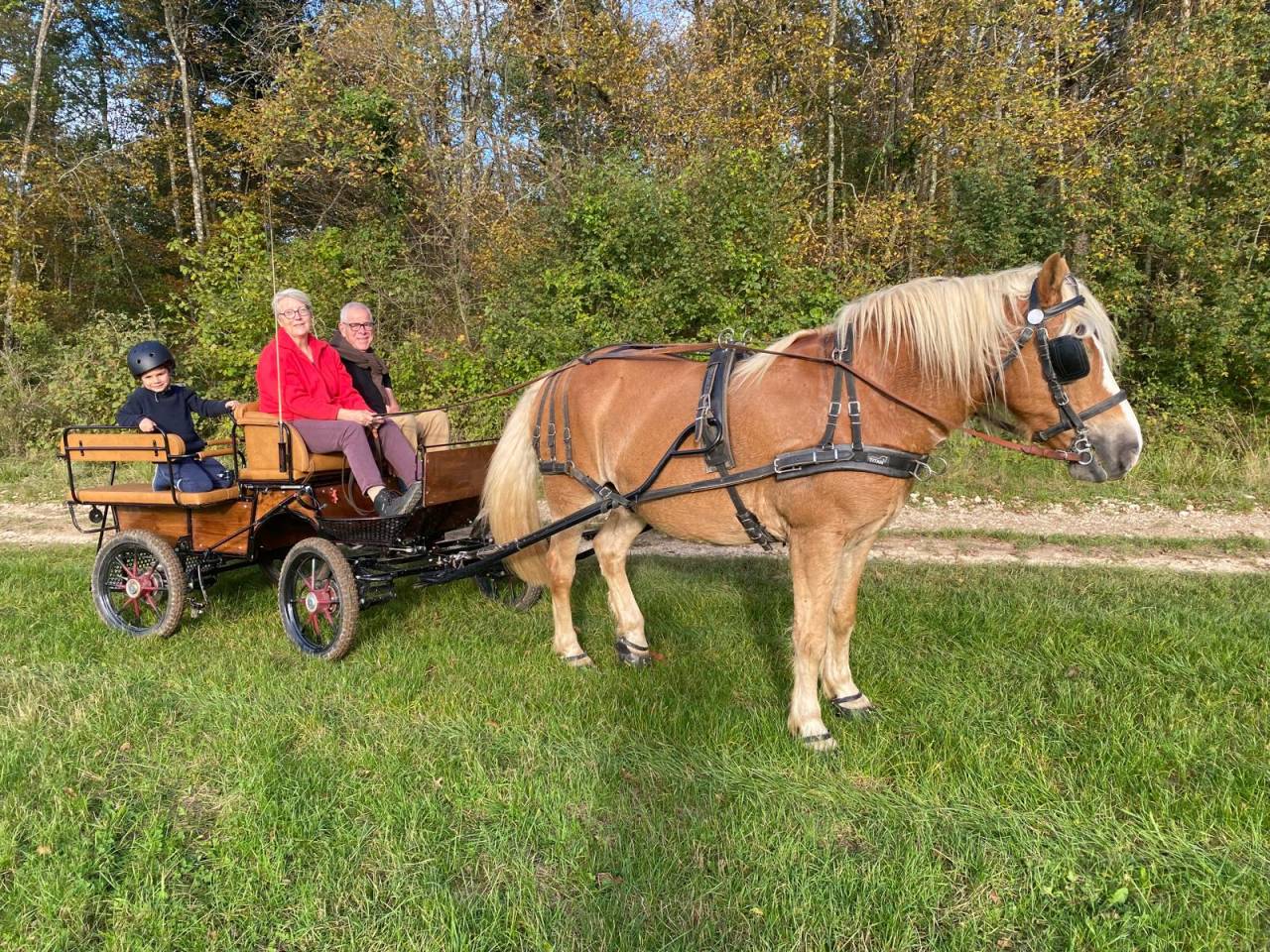Coche enganches - Calesa - Otra marca -  