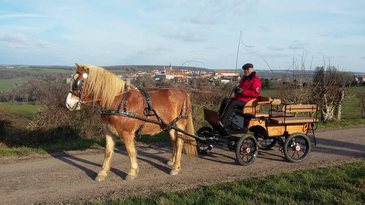 Coche enganches - Calesa - Otra marca -  