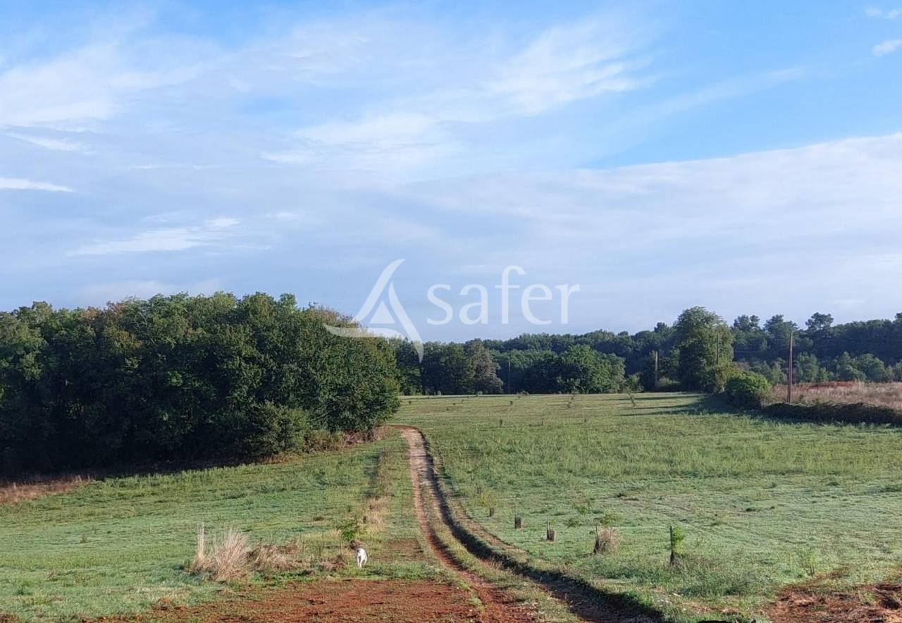 Explotaci&oacute;n agr&iacute;cola En venta Dordo&ntilde;a