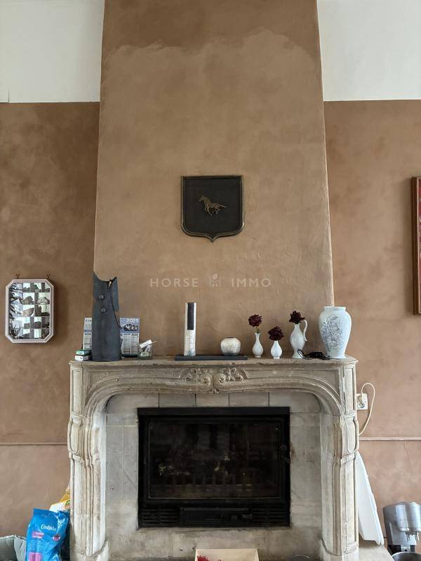 Bonita residencia ecuestre En venta Mancha