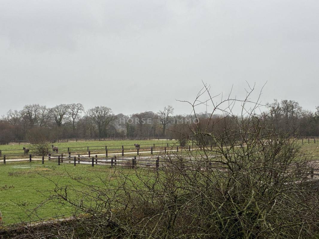 Bonita residencia ecuestre En venta Mancha