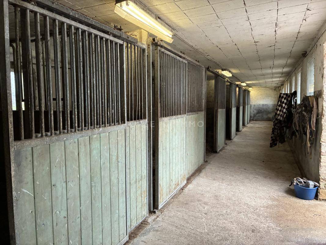 Bonita residencia ecuestre En venta Mancha