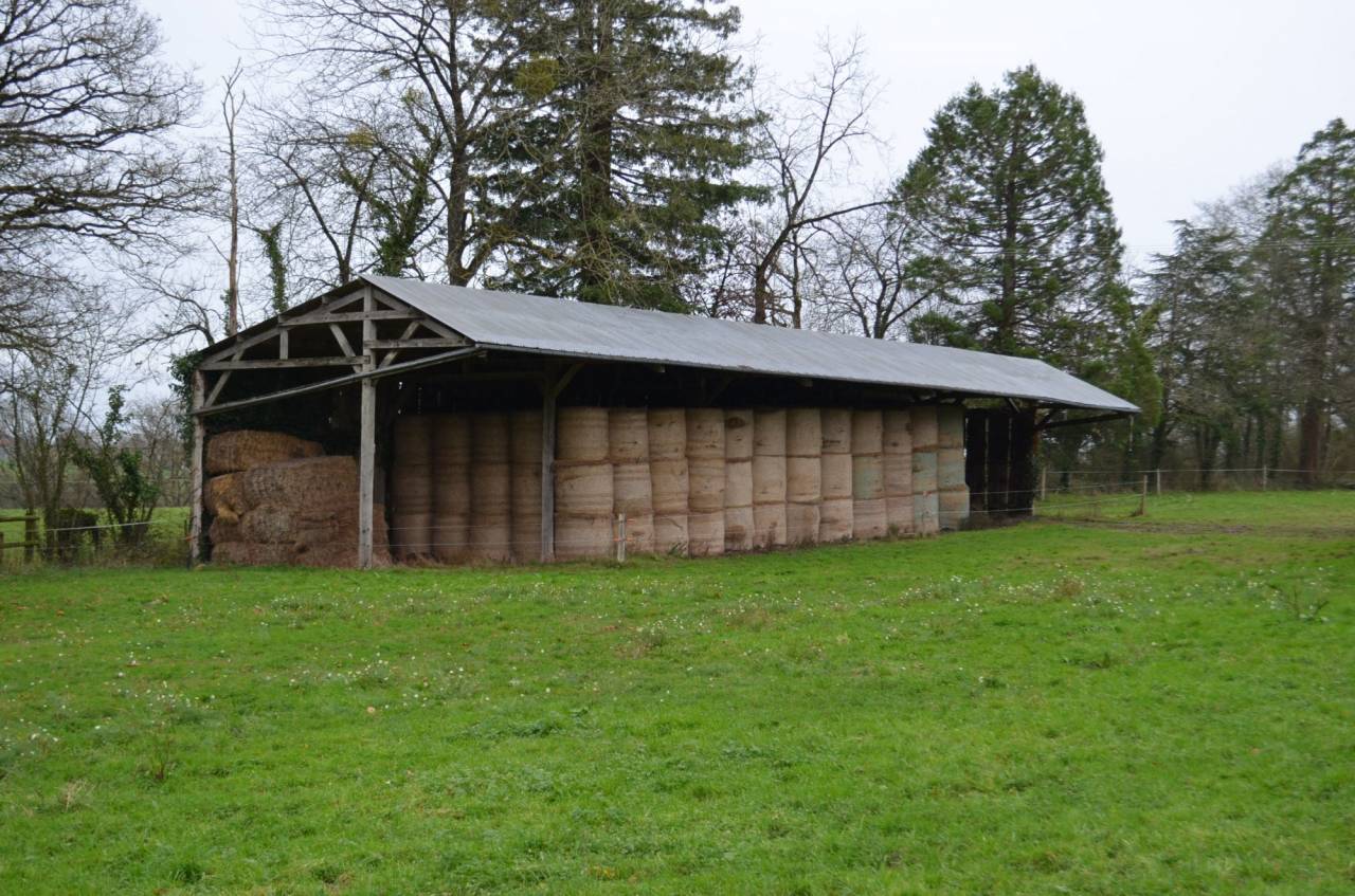 Propiedad ecuestre En venta Mayenne