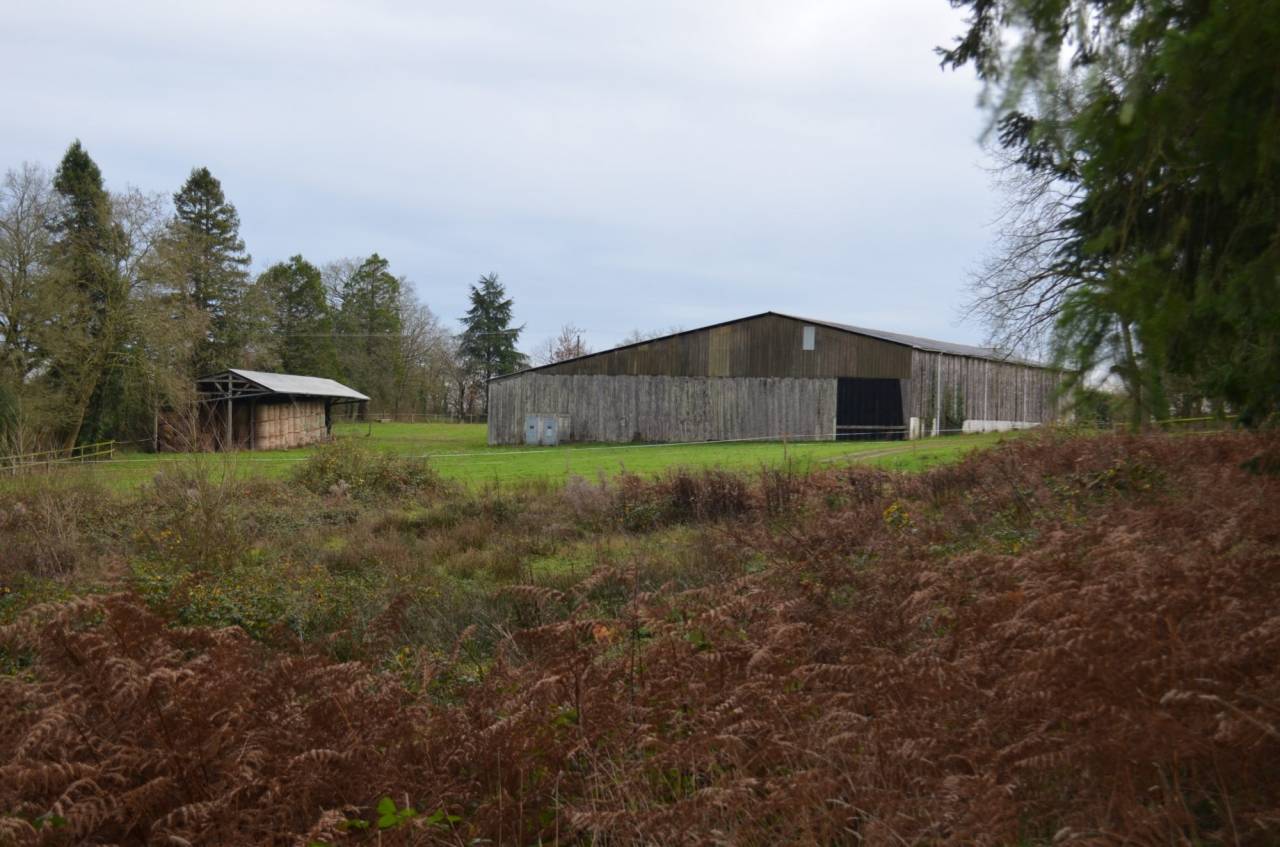 Propiedad ecuestre En venta Mayenne