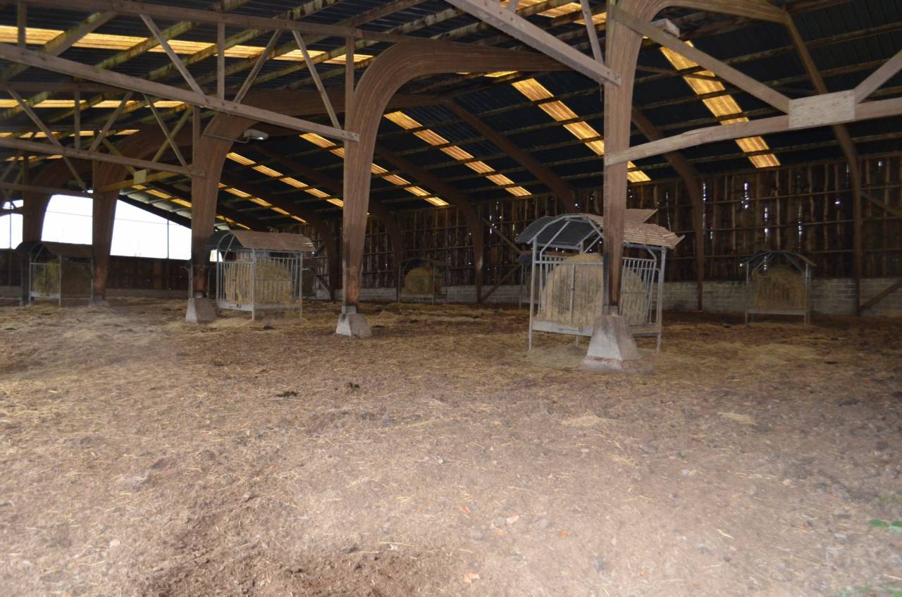 Propiedad ecuestre En venta Mayenne