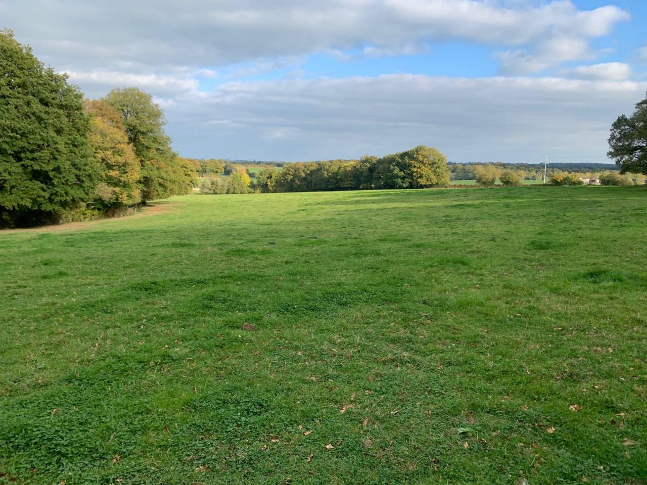 Propiedad ecuestre En venta Mayenne