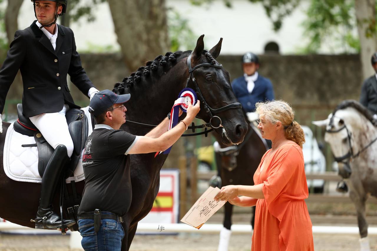 Jango NP - PRE Pura Raza Espa&ntilde;ola 2019 por INTIMO SALVATELLA