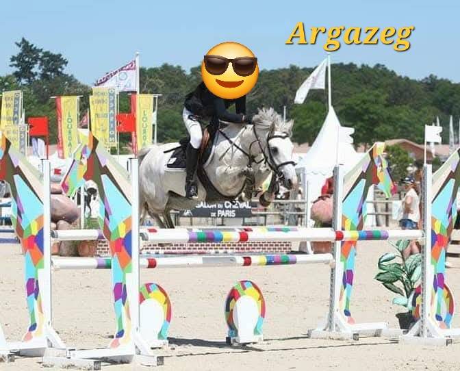 Potro Connemara En venta 2025 Crema por CASTLE NERO