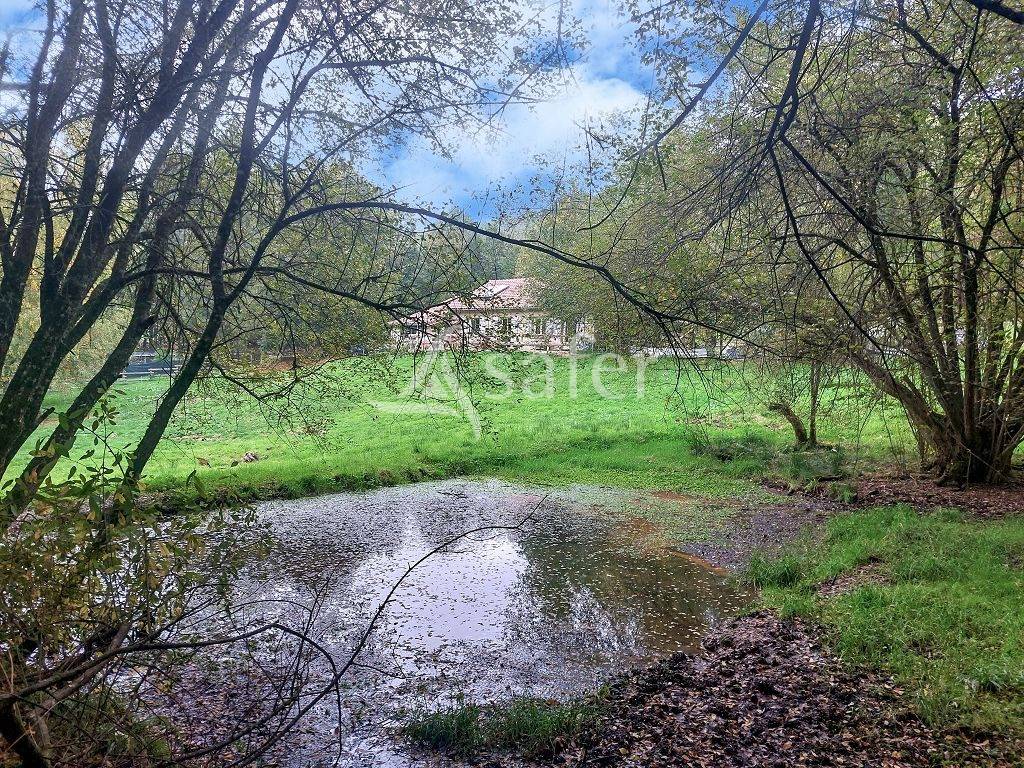 Propiedad rural En venta Alto Vienne