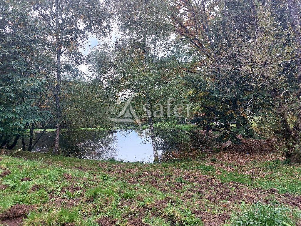 Propiedad rural En venta Alto Vienne