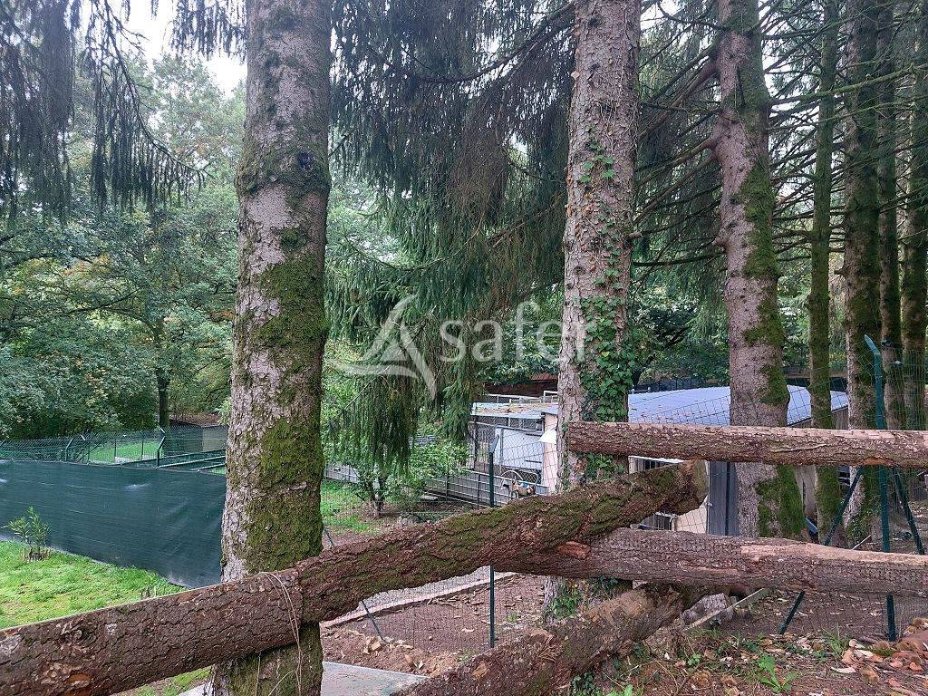 Propiedad rural En venta Alto Vienne