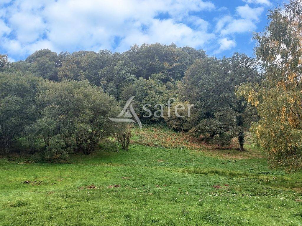 Propiedad rural En venta Alto Vienne