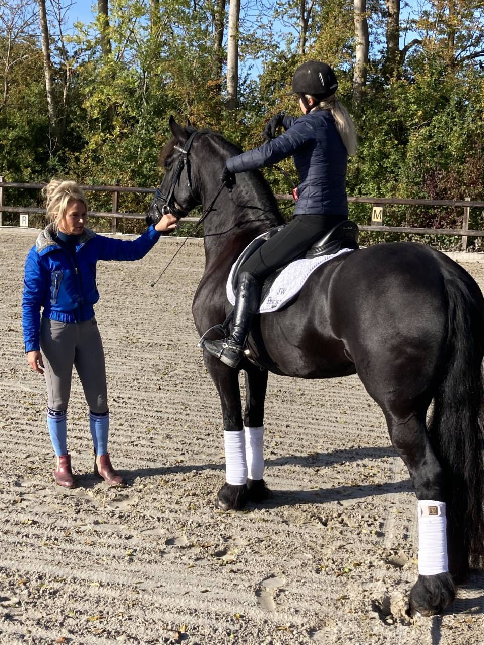 Yegua de ganader&iacute;a Fris&oacute;n En venta 2014 Negro por BEART 411