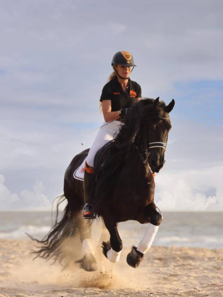 Yegua de ganader&iacute;a Fris&oacute;n En venta 2014 Negro por BEART 411