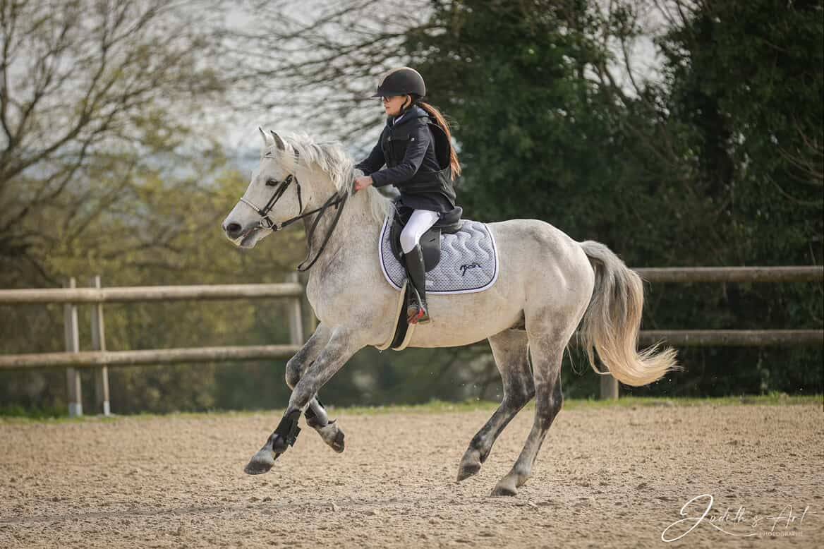 Voyage d'Arquetan - PFS Poni Fran&ccedil;&eacute;s de Silla 2009 por Gribouille Villaud