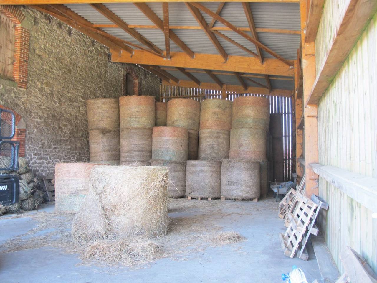 Propiedad ecuestre En venta Alto Vienne