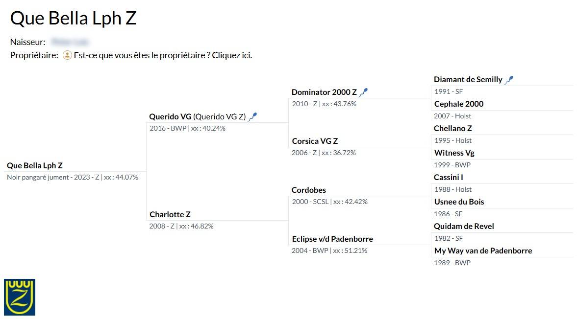 Yegua Zangersheide En venta 2023 Negro por Querido VG Z