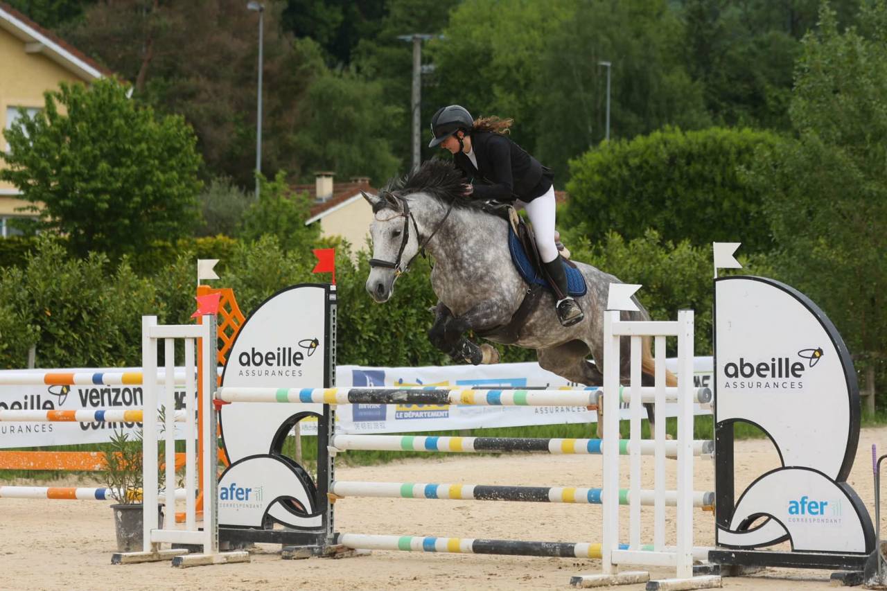 Yegua PFS Poni Fran&ccedil;&eacute;s de Silla En venta 2016 Tordo por MOVIE STAR TILIA