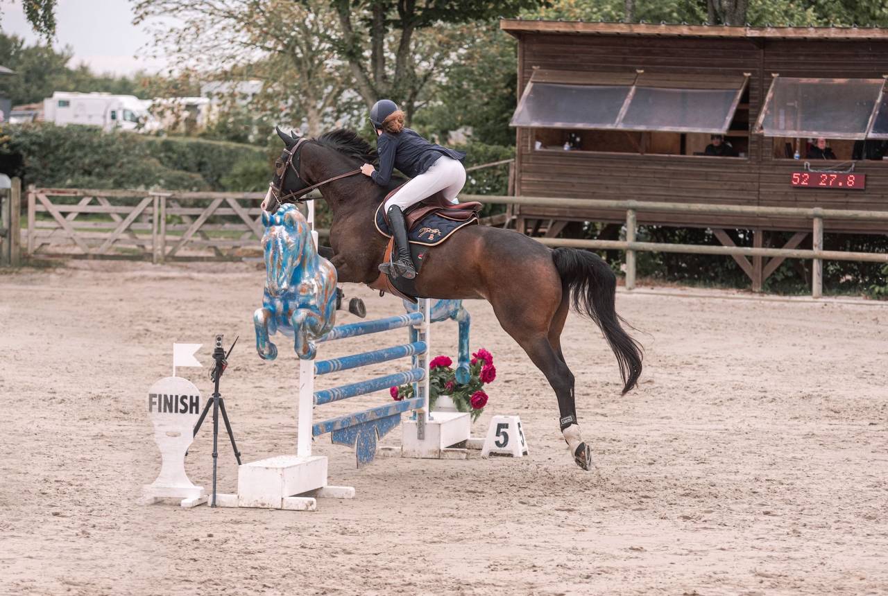 Caballo castrado Silla Franc&eacute;s En venta 2015 Bayo moreno por IDEAL DE LA LOGE