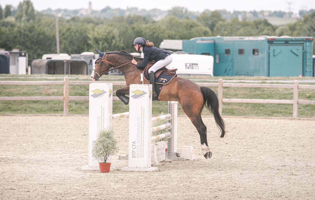 Caballo castrado Silla Franc&eacute;s En venta 2015 Bayo moreno por IDEAL DE LA LOGE