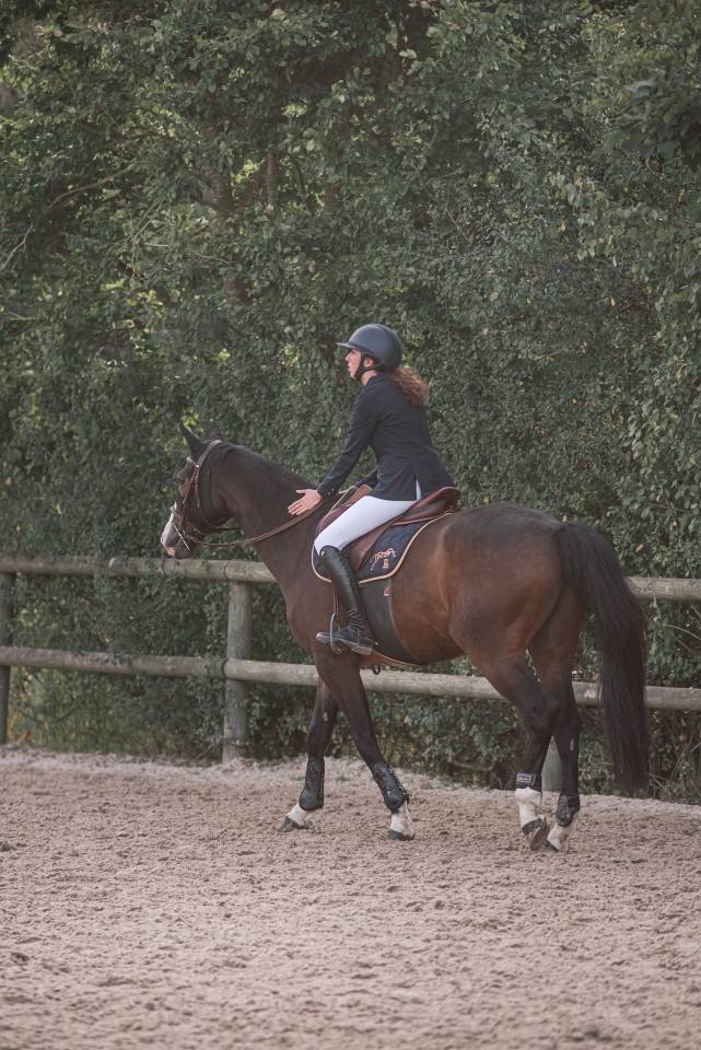 Caballo castrado Silla Franc&eacute;s En venta 2015 Bayo moreno por IDEAL DE LA LOGE