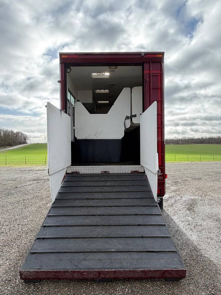 Cami&oacute;n para caballos Volvo Paillard 2017 De segunda mano