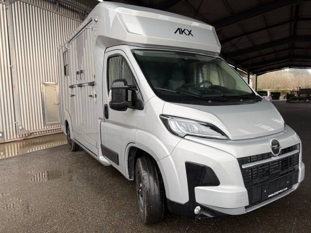 Furgoneta para caballos AKX Opel Movano 2026 Nuevo