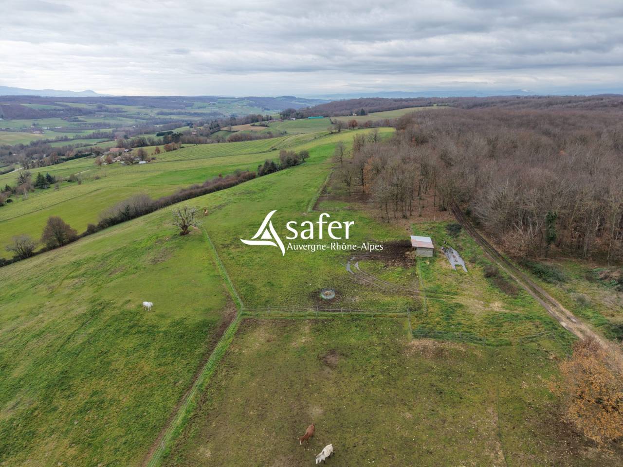 Propiedad ecuestre En venta Dr&ocirc;me