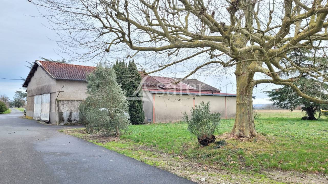 Explotaci&oacute;n cerealista En venta Tarn